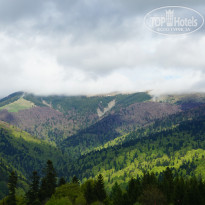 фото из отзыва ID 1990716