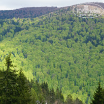 фото из отзыва ID 1990716