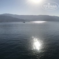 фото из отзыва ID 1991313