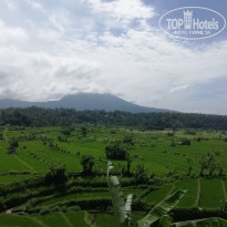 фото из отзыва ID 1991412