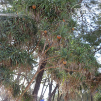 фото из отзыва ID 1991186