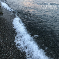 фото из отзыва ID 1991489