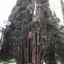 фото из отзыва ID 1991489