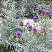 фото из отзыва ID 1991489