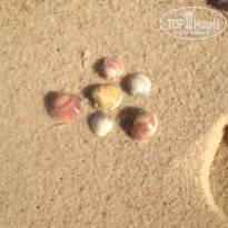 фото из отзыва ID 1991503