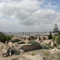 фото из отзыва ID 1991503