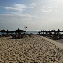 фото из отзыва ID 1991483