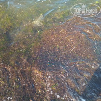 фото из отзыва ID 1991512