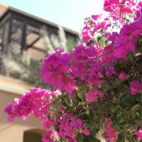 фото из отзыва ID 1991552