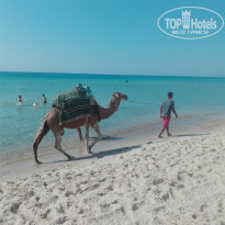 фото из отзыва ID 1991425