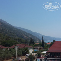 фото из отзыва ID 1990328