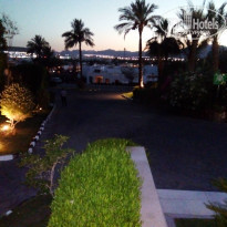 фото из отзыва ID 1991710