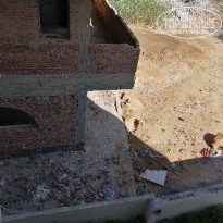 фото из отзыва ID 1991735