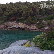 фото из отзыва ID 1991754