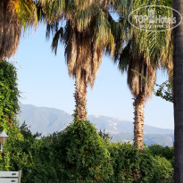 фото из отзыва ID 1991894