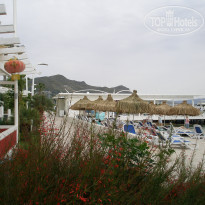 фото из отзыва ID 1991995