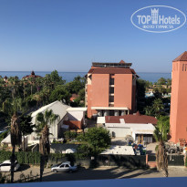 фото из отзыва ID 1992019