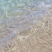 фото из отзыва ID 1991968