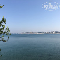 фото из отзыва ID 1992090