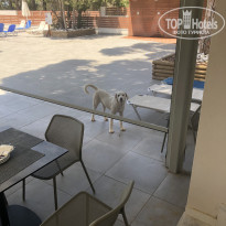 фото из отзыва ID 1992100