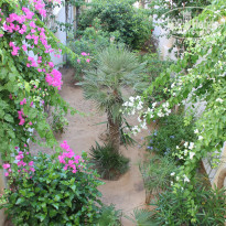 фото из отзыва ID 1992217