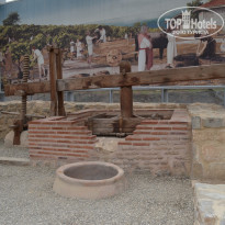 фото из отзыва ID 1992244