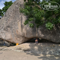 фото из отзыва ID 1992244