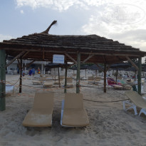 фото из отзыва ID 1991176