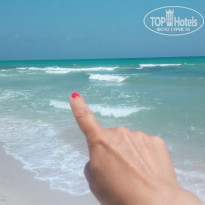 фото из отзыва ID 1992299