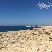 фото из отзыва ID 1992371