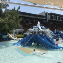 фото из отзыва ID 1992307