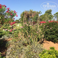 фото из отзыва ID 1992314