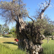 фото из отзыва ID 1992314