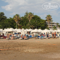 фото из отзыва ID 1992262