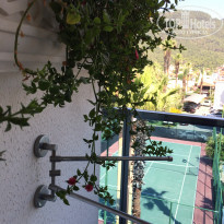 фото из отзыва ID 1992438