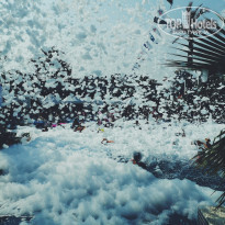 фото из отзыва ID 1992456