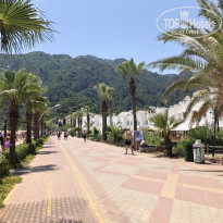 фото из отзыва ID 1992487