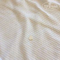 фото из отзыва ID 1992488