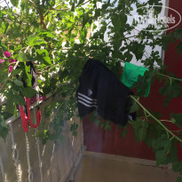 фото из отзыва ID 1992488