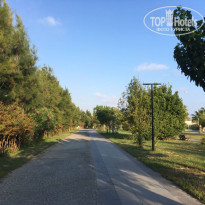 фото из отзыва ID 1992526