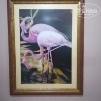 фото из отзыва ID 1992573