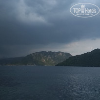 фото из отзыва ID 1990314