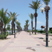 фото из отзыва ID 1992065