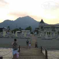 фото из отзыва ID 1991302