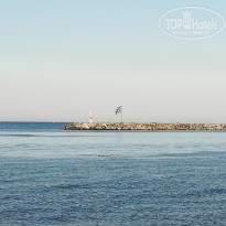 фото из отзыва ID 1992715