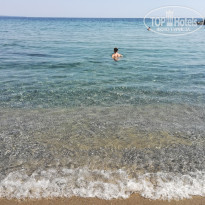 фото из отзыва ID 1992715