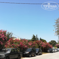 фото из отзыва ID 1992715