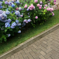 фото из отзыва ID 1992686