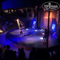 фото из отзыва ID 1992720