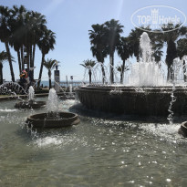 фото из отзыва ID 1992914